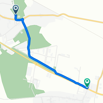 DC73, Bors to Strada Sântion, 9, Bors