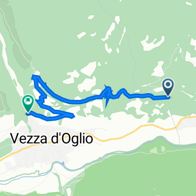 Vione a Via Dante Alighieri 42, Vezza d'Oglio