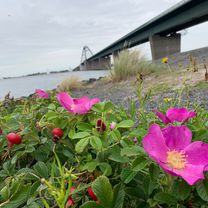 20230811 Katharinenhof  Gremersdorf