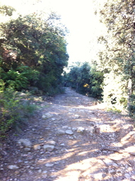 Highlight 2 along the Bikemap route "Canet d'Adri, Rocacorba"