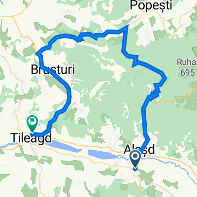Alesd - Padurea Neagra - Tileagd