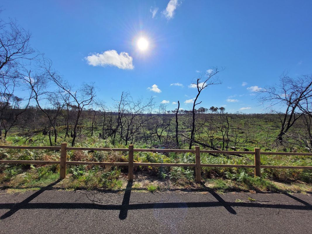De Allée des Sternes 1, Arcachon à Allée des Sternes 1, Arcachon