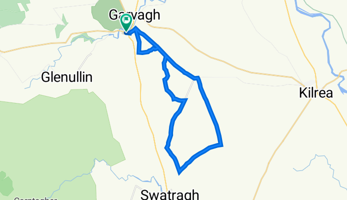 local run
