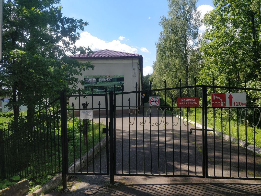 Тихменево- Великий Мох вокруг болота и обратно по автомобильной дороге-гравий потом асфальт