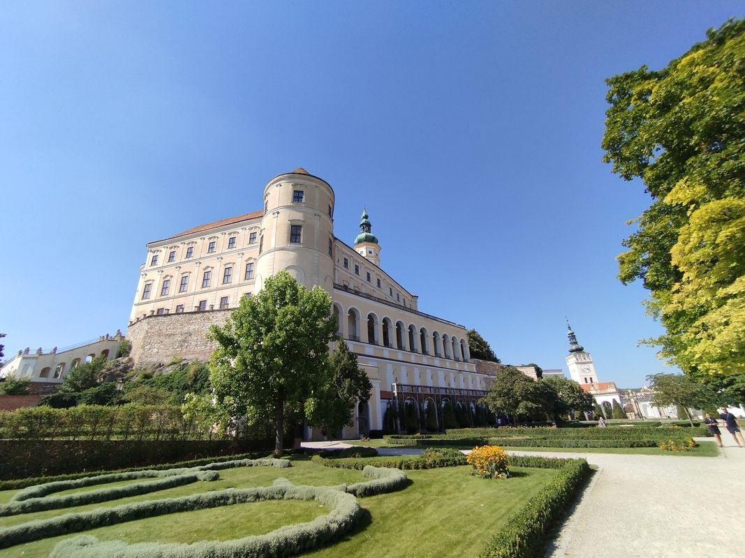 Laa a.d. Thaya -Pasohlávky- Bavory - Mikulov &amp; Laa an der Thaya 🚴🇦🇹&amp;🇨🇿🌞👌
