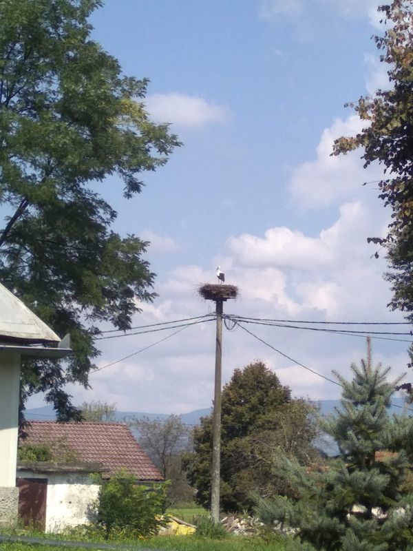 Dajmo eno po Hrvaško