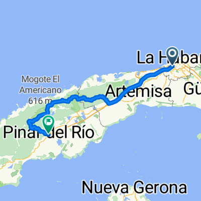 vinnales