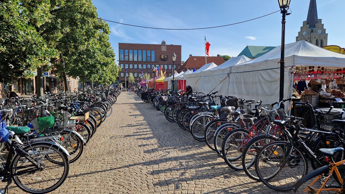 Suecia 12: Torup - Halmstad