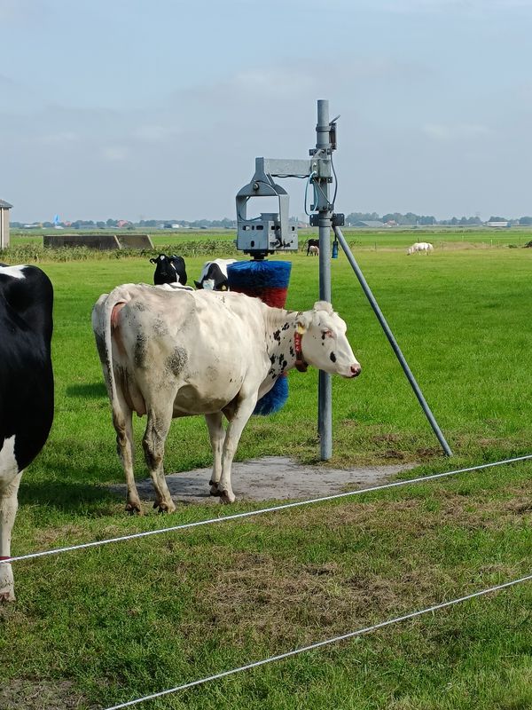 Von Lemmer rund ums Tjeukemer