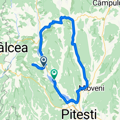 Pitesti - Curtea de Arges