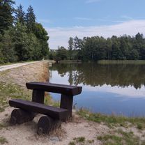 Photo 7 of the Bikemap route "Hradec Králové a cyklocesta v lesnom prostredí 🚴🌲🌳🇨🇿"