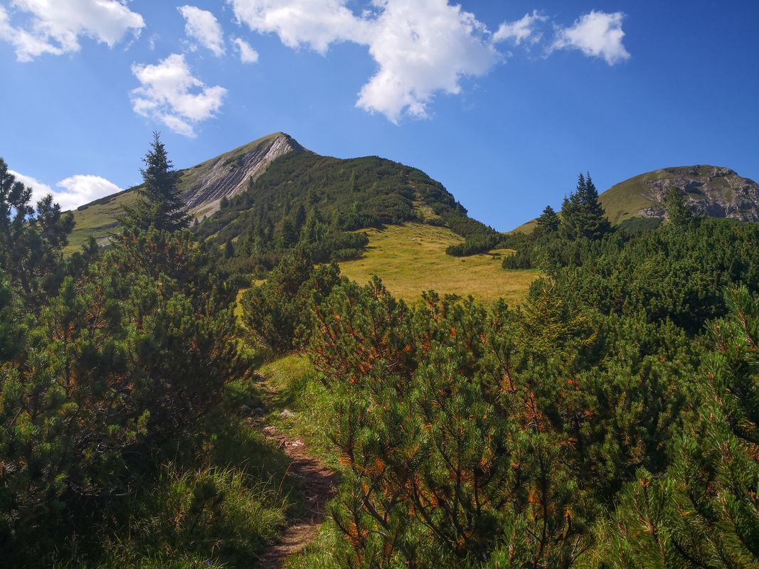 Friederspitz