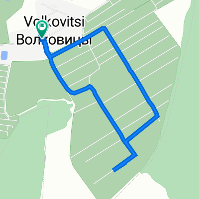 От Центральная улица 33, Волковицы до Центральная улица 33, Волковицы