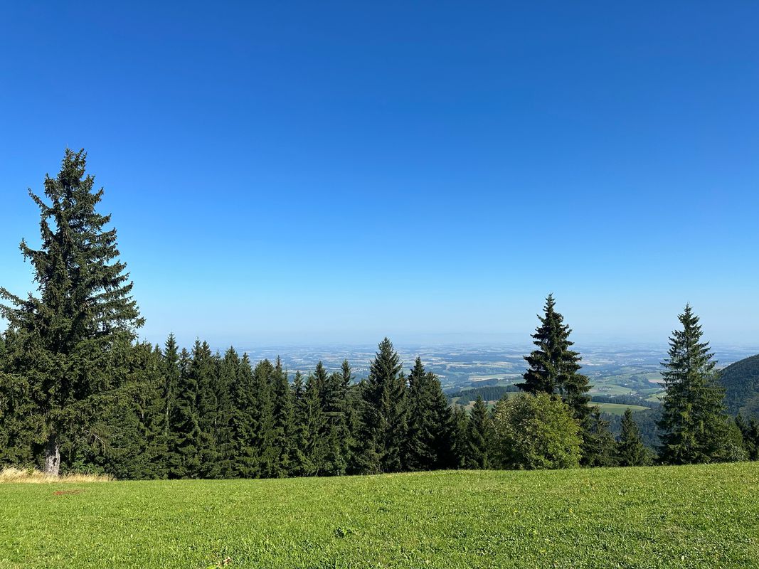 N-Grünburger Hütte -N