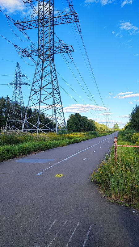 Лосиный остров