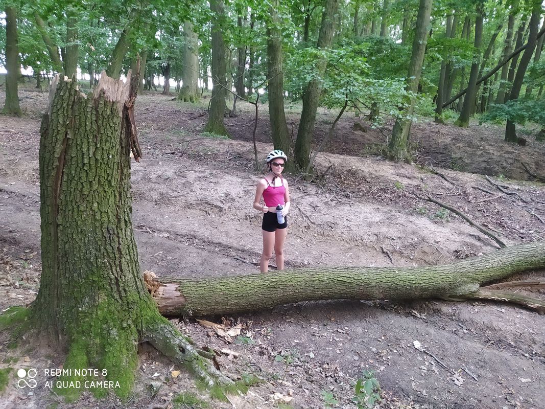 Petrova Ves do Petrova Ves