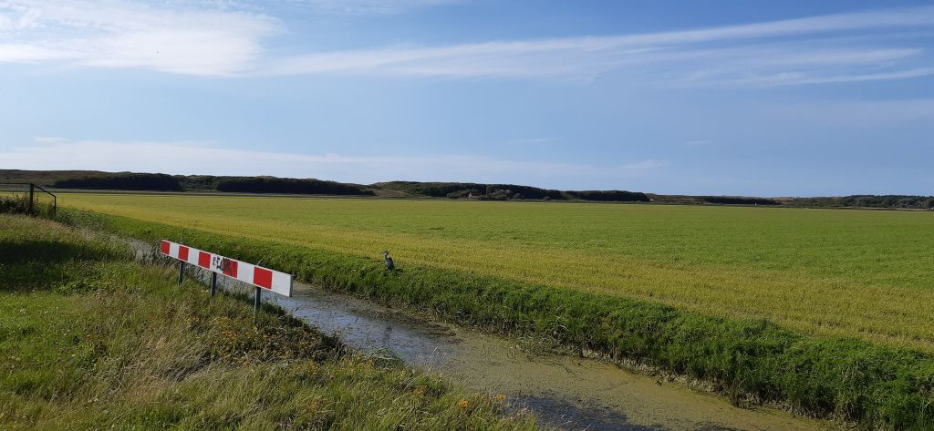 NL234: Zum holländischen Nordkap - Den Helder