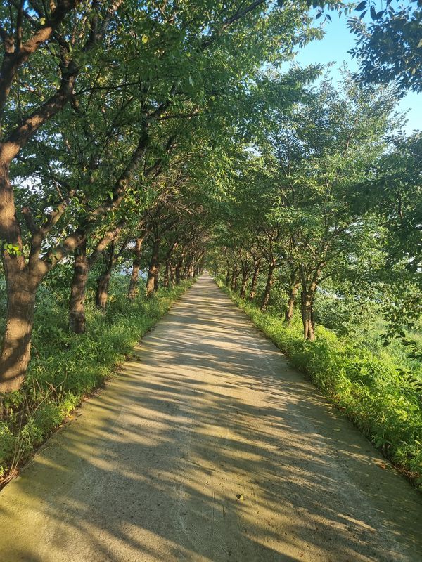 야사동 281-4, 영천시 ~ 야사동 282-1, 영천시