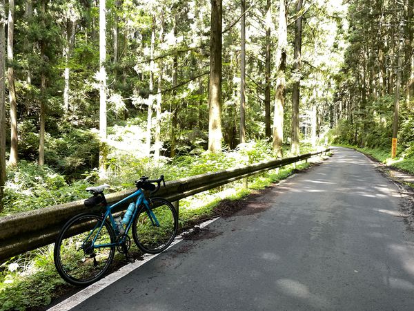 Foto 2: Cyclist8629