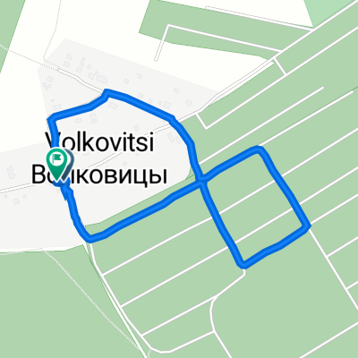 От Центральная улица 33, Волковицы до Центральная улица 34, Волковицы