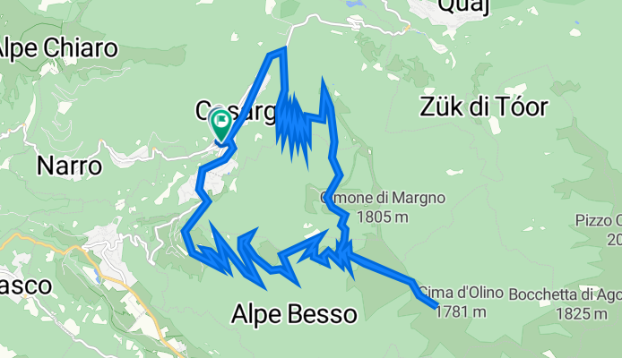 MTB codesino-Larice bruciato