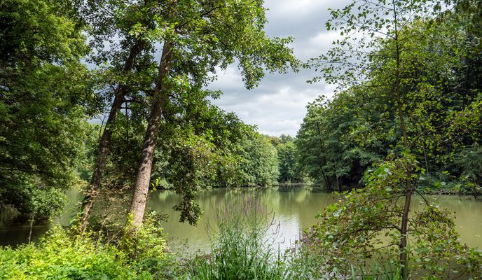 Foto 2 der Bikemap-Route "Gladbeck - Bottrop - Mottbruchhalde"