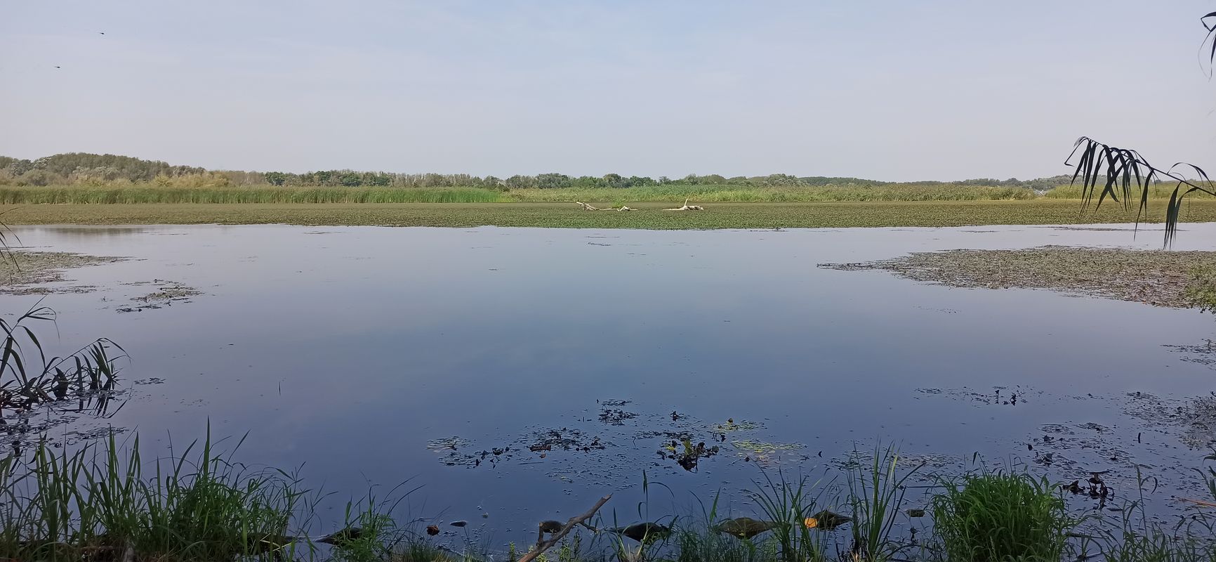 Tiszaderzs to Abádszalók