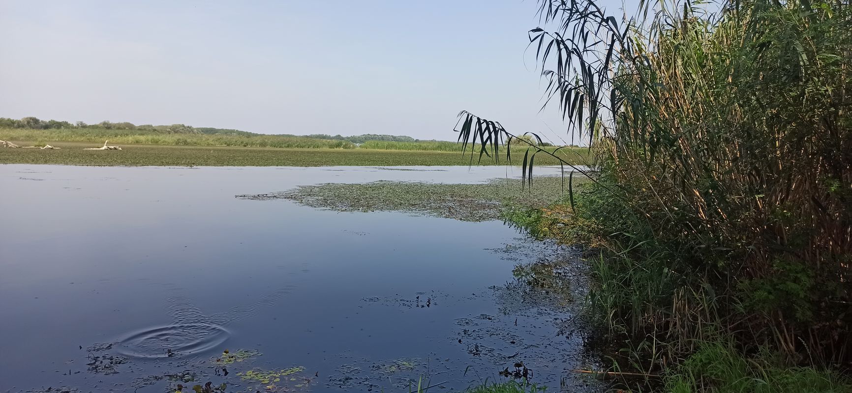 Tiszaderzs to Abádszalók
