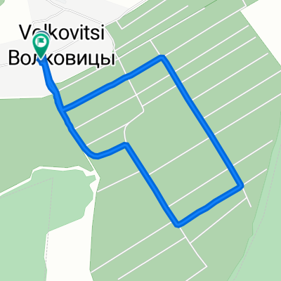 От Центральная улица 33, Волковицы до Центральная улица 33, Волковицы