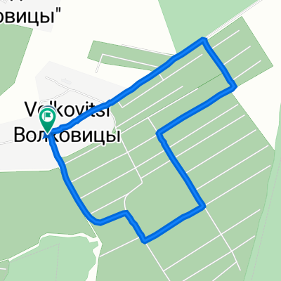 От Центральная улица 33, Волковицы до Центральная улица 33, Волковицы