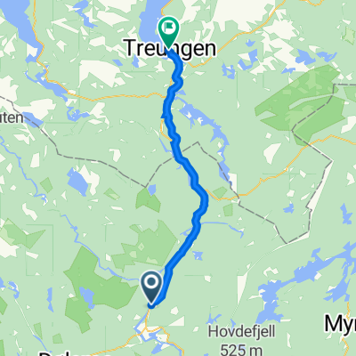 Åmli til Treungen