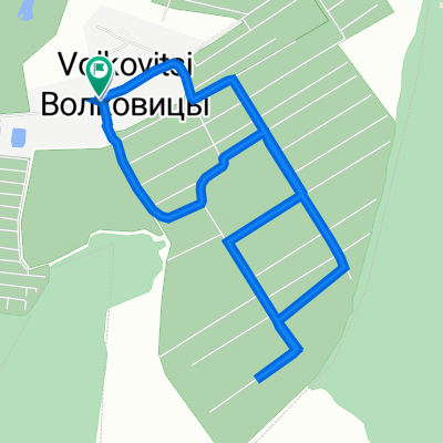 От Центральная улица 33, Волковицы до Центральная улица 33, Волковицы