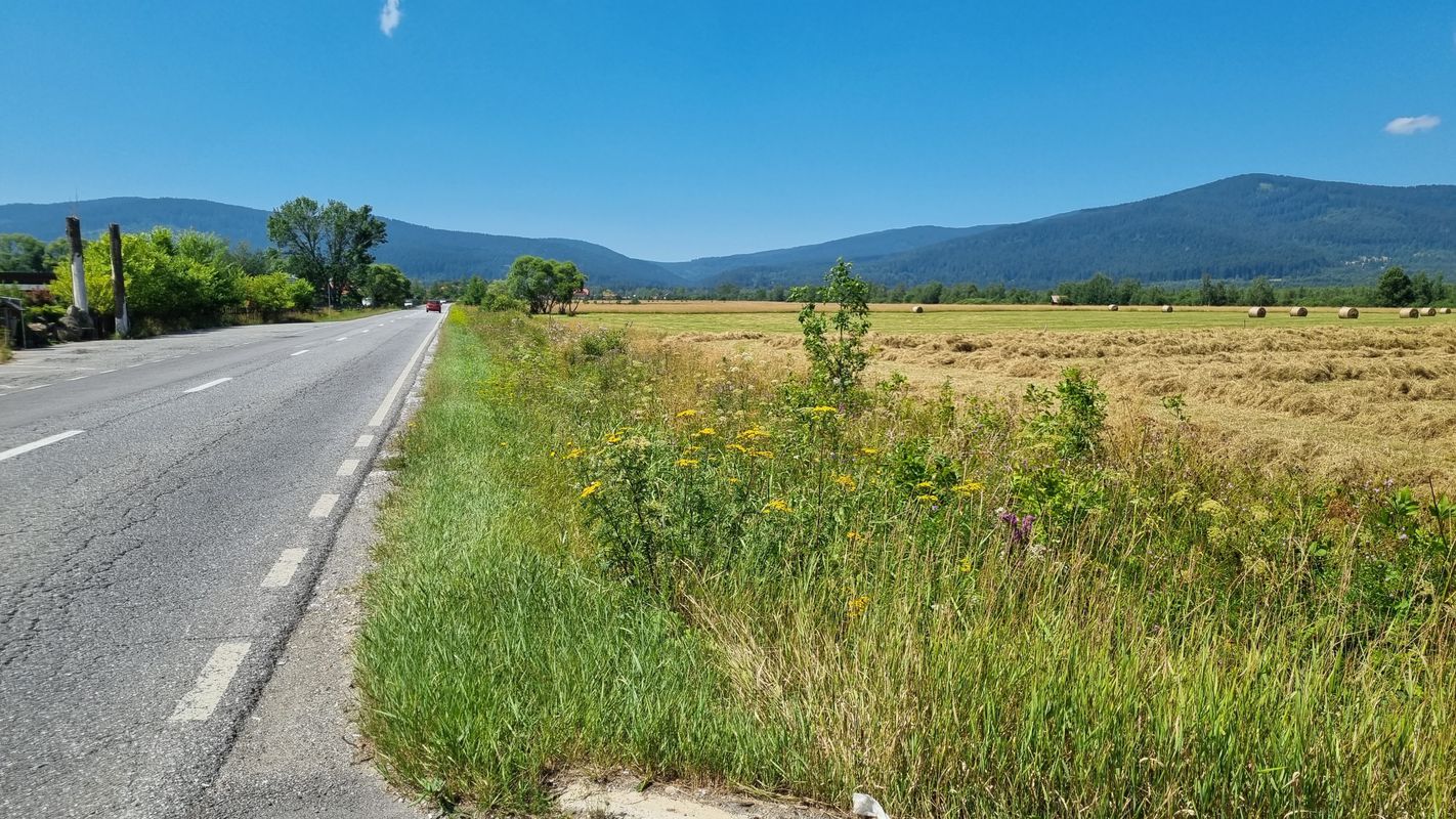 Praid - Pasul Bucin - Joseni (<>) (RS200)