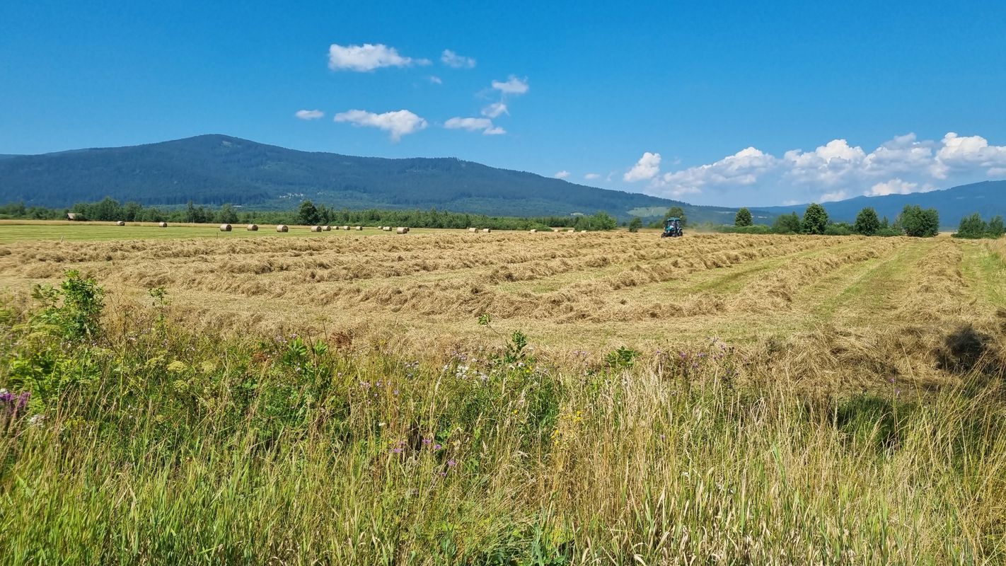 Praid - Pasul Bucin - Joseni (<>) (RS200)