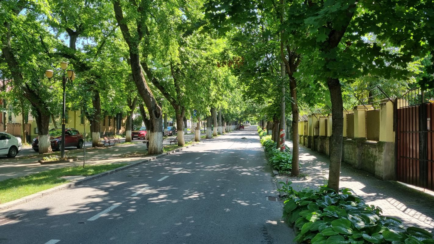 Sovata - M. Nirajului - Tg Mureș - Eremitu (&gt;) (RS200)