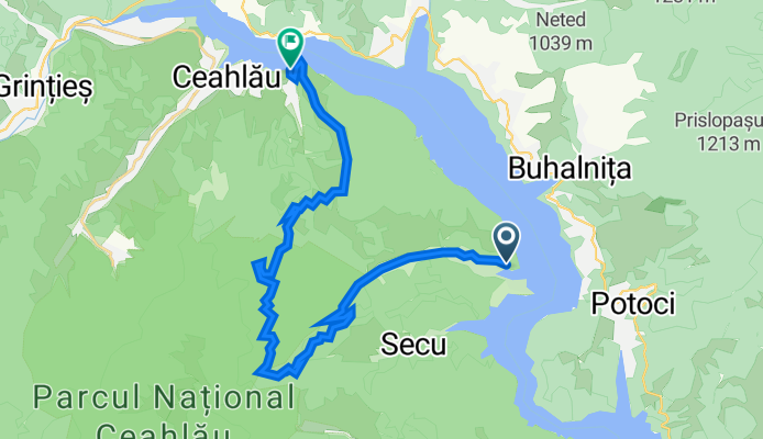 MTB Bicaz Copii varianta 2