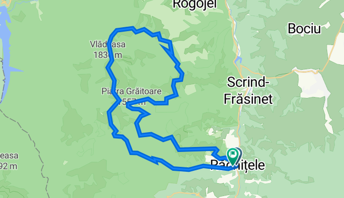 rachitele-valul miresei-vladeasa-rachitele