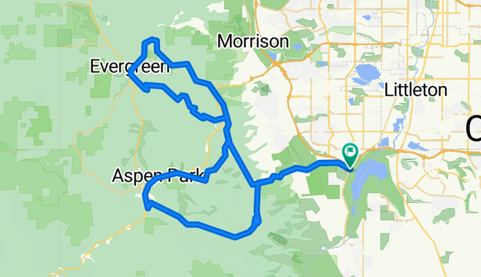 Conifer-Evergreen-Kittredge