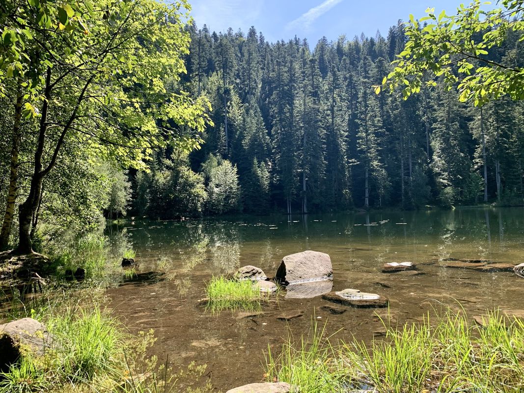 Lac de la Maix - Raon l’Étape