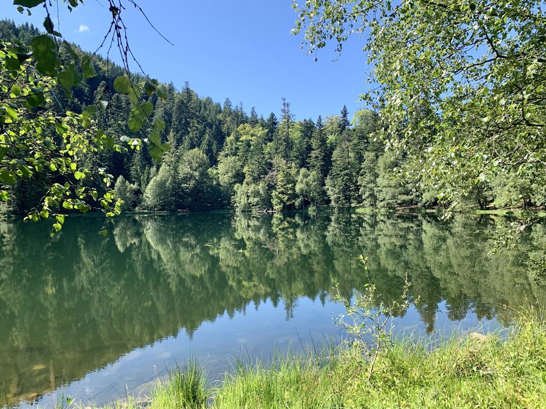 Lac de la Maix - Raon l’Étape