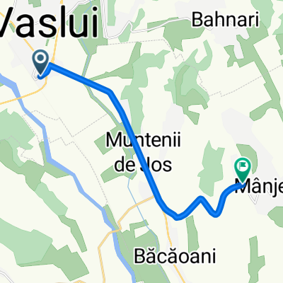 vaslui manjesti