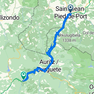 CaminoFrances_1: Saint-Jean-Pied-de-Port - Erro