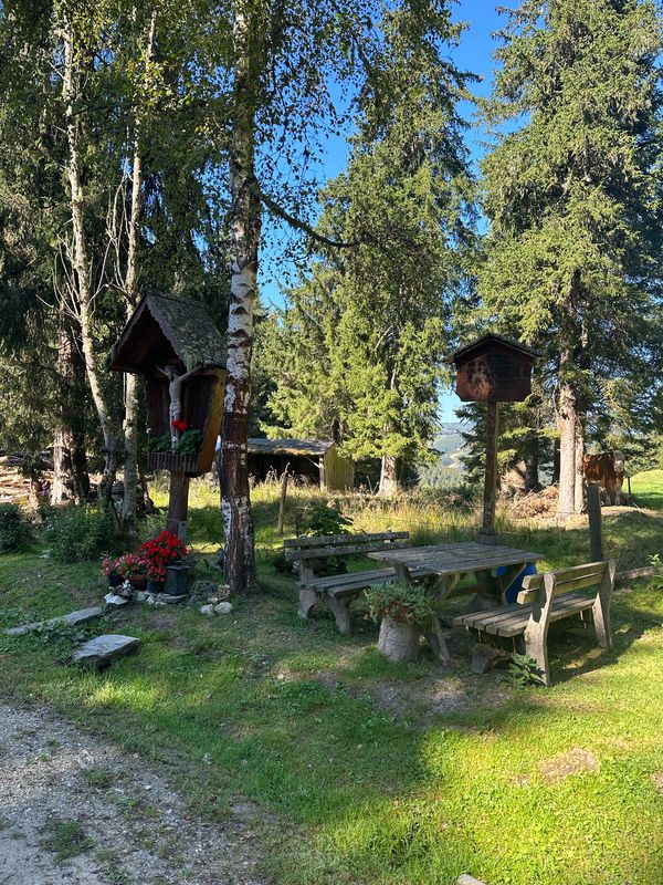 Fischbach - Waldtoni - Alpl - Hauereck - Schlagobersbauer - Waldtoni - Alptor - Zellerkreuz - Fischbach