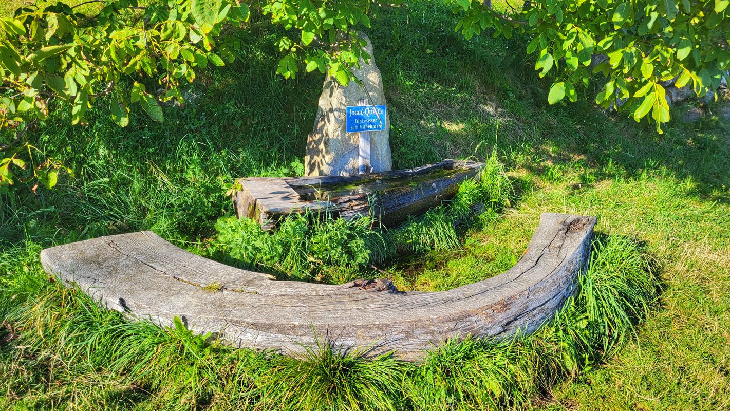 Aufi zur Schwaigerhütte auf 1620m
