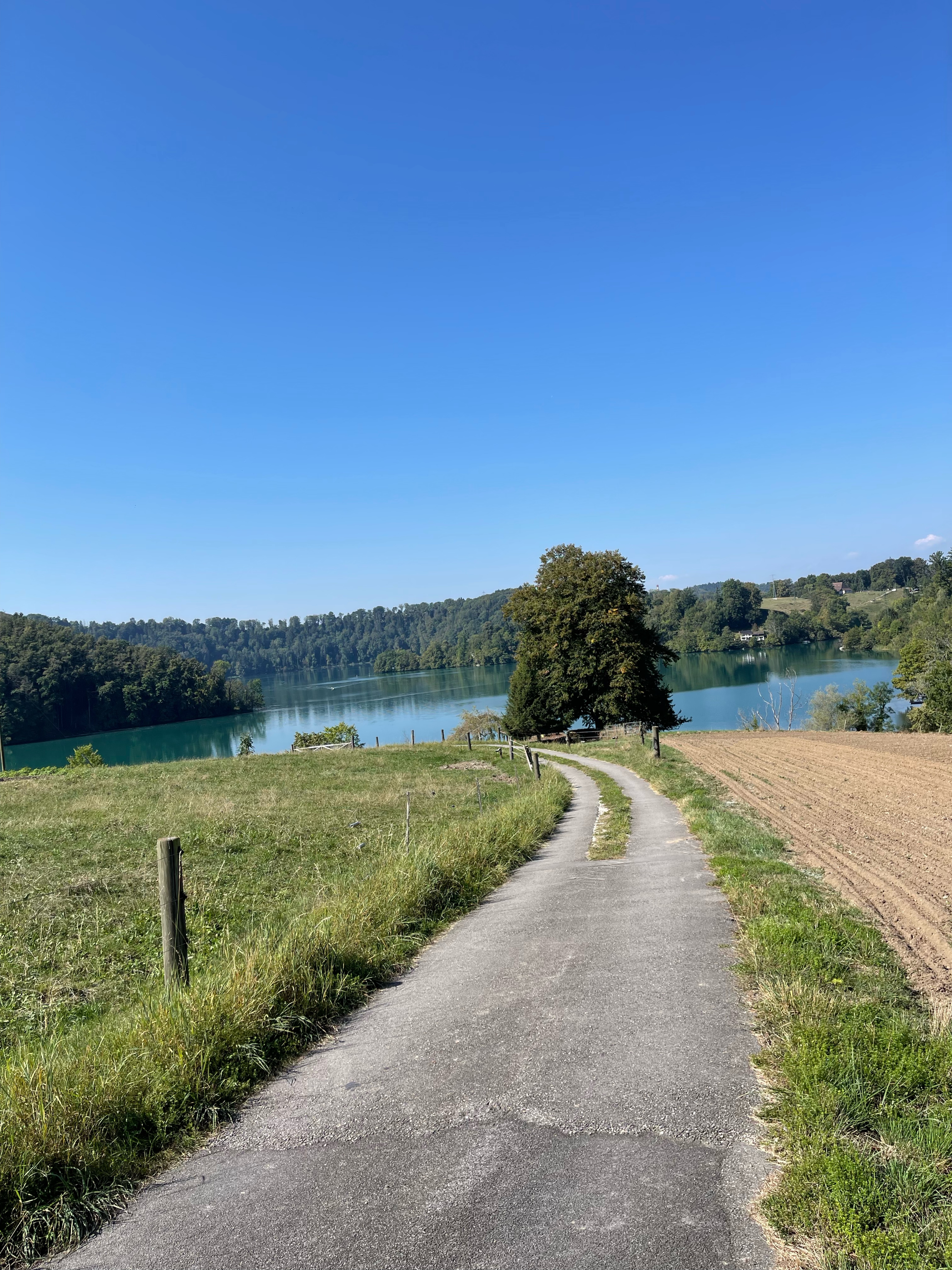 zu erholen