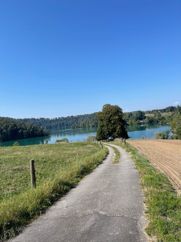 zu erholen