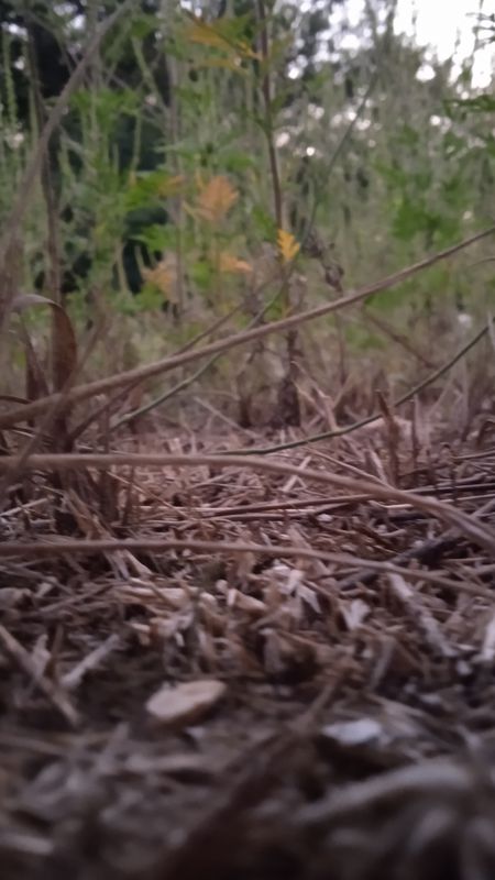 Vörösmarty utca 13, Kerekegyháza - Arany János utca 38, Kerekegyháza