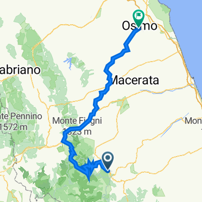 taccarelli new wave 2