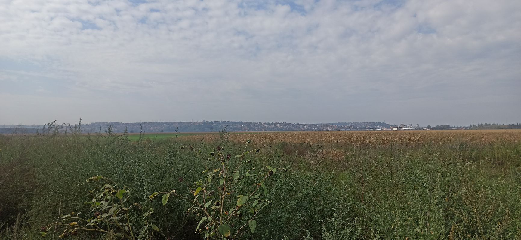 Kovin to Požarevac Serbia