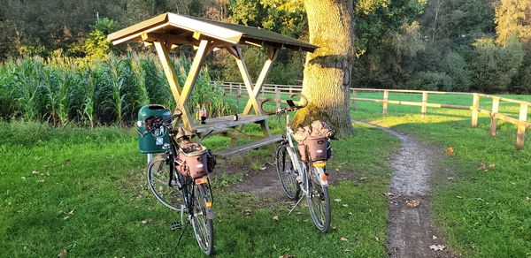 Photo 1: schönwetterbiker